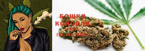 крисы Баксан