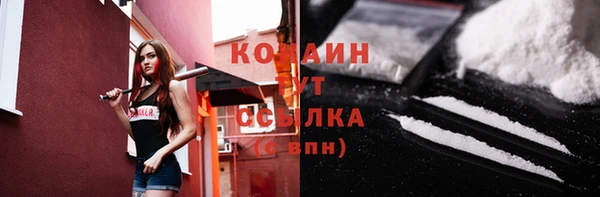 крисы Баксан