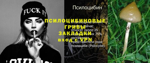 крисы Баксан