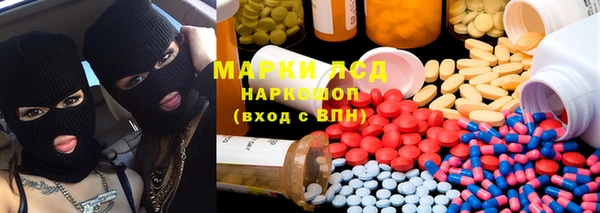 крисы Баксан
