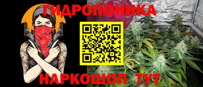 Альфа ПВП Можга