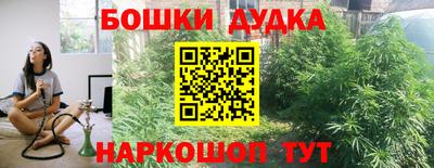 Альфа ПВП Можга