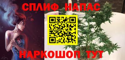 Альфа ПВП Можга