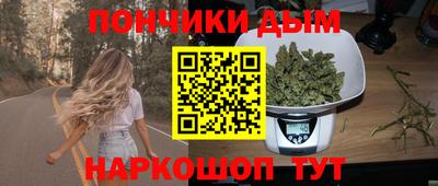 Альфа ПВП Можга