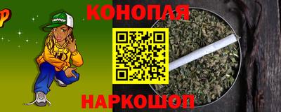 Альфа ПВП Можга