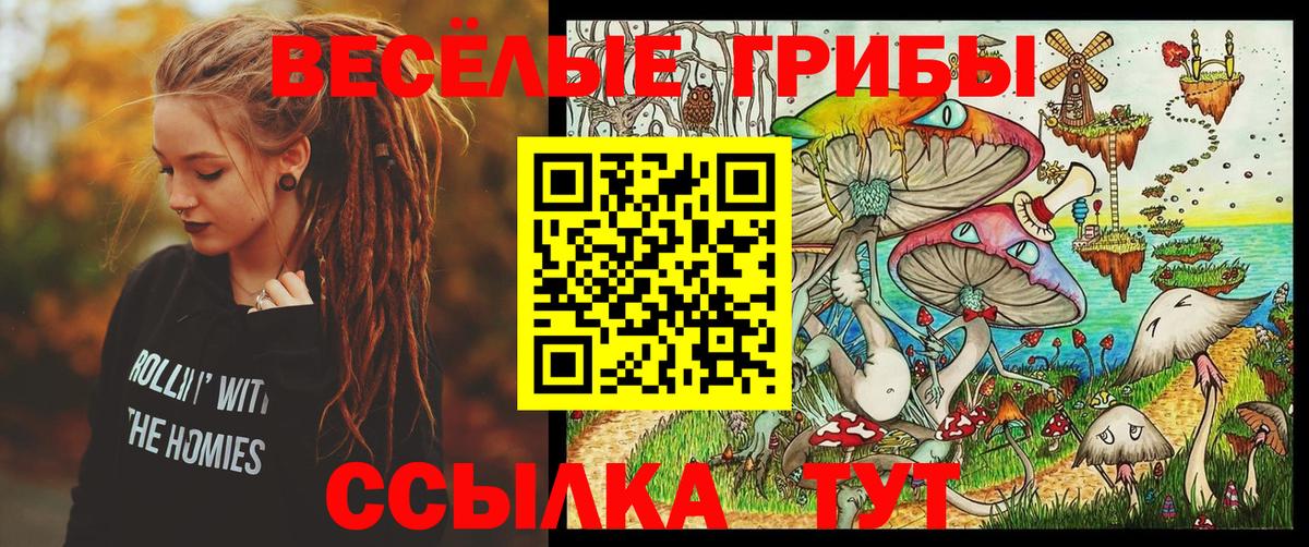 Псилоцибиновые грибы Cubensis Семилуки